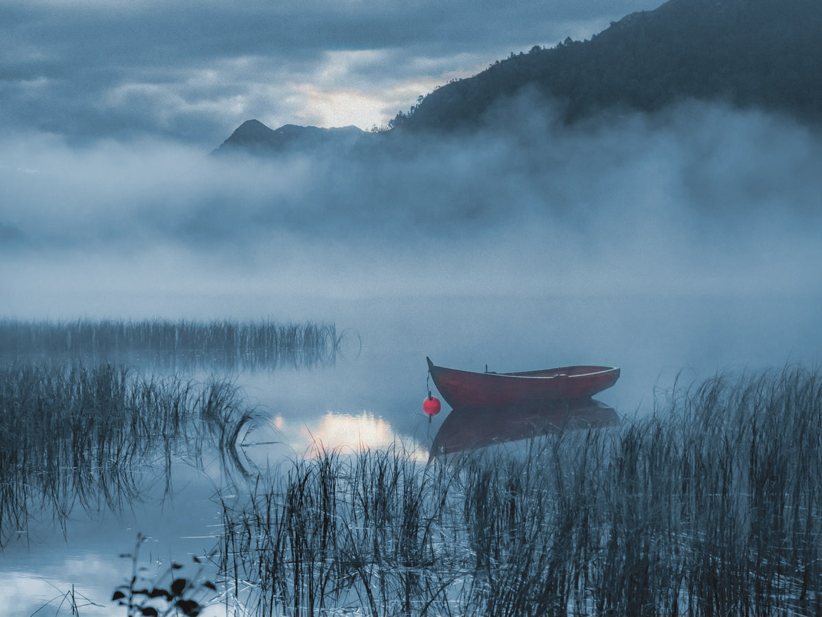 Paysage scandinave — Primare