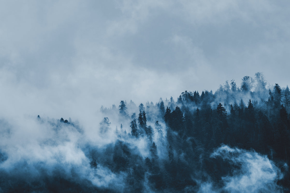 Le son et le regard de la Scandinavie